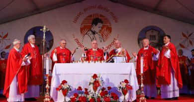 Proslavljen blagdan bl. Miroslava Bulešića u Svetvinčentu